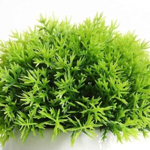 71nceuuh5s. sx679 1.jpg